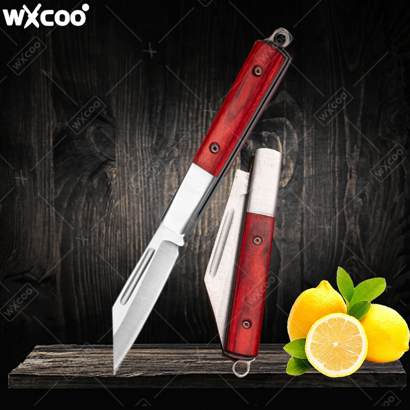 Coltello tascabile in acciaio  - Kitchen Gadgets And Equipment recensione e prezzo