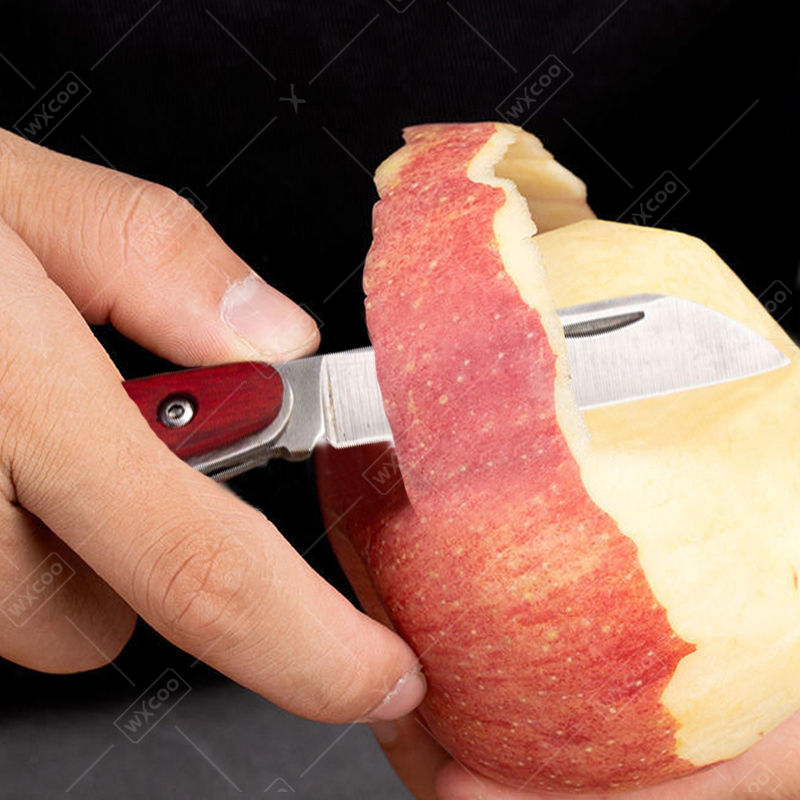 Coltello tascabile in acciaio  - Kitchen Gadgets And Equipment recensione e prezzo