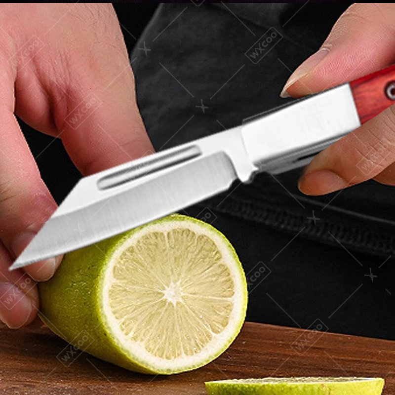 Coltello tascabile in acciaio  - Kitchen Gadgets And Equipment recensione e prezzo